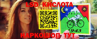 стафф Свободный