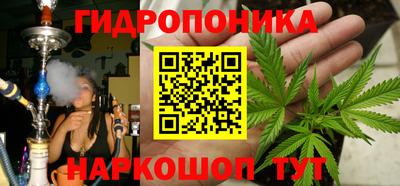 стафф Свободный