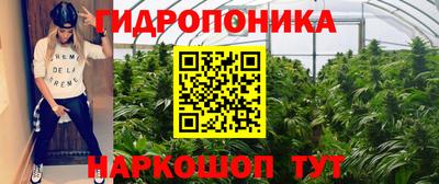 стафф Свободный