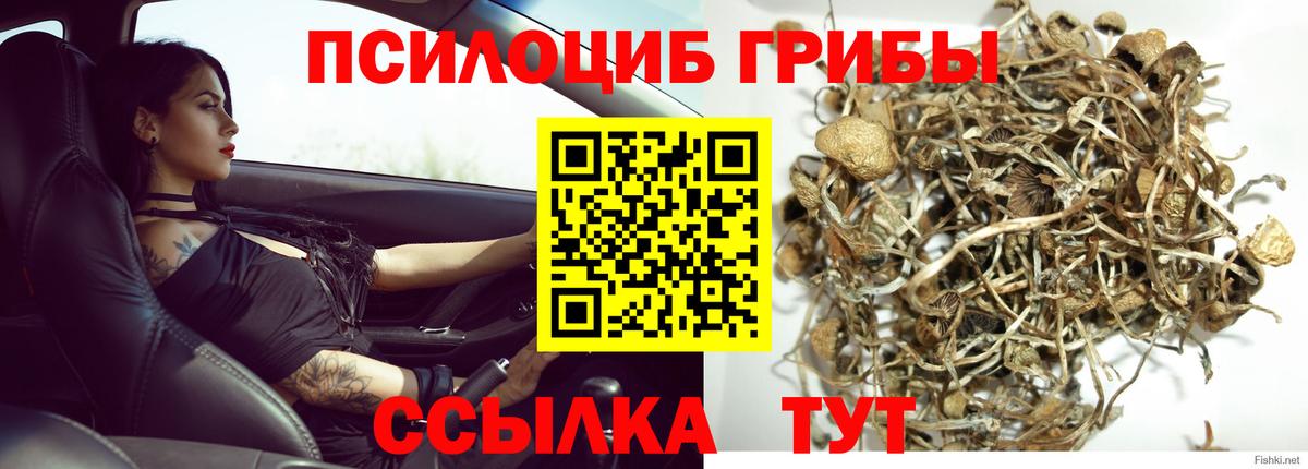 Рассказово  Псилоцибиновые грибы ЛСД  Вход с VPN 