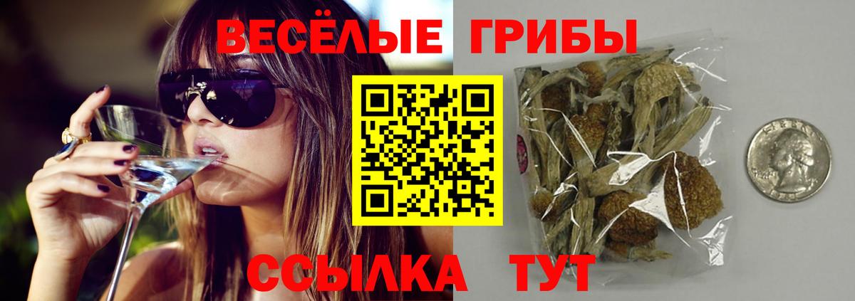 Псилоцибиновые грибы мицелий Рассказово